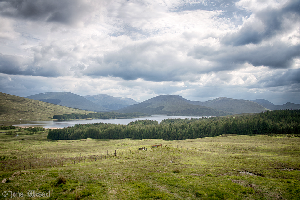 Glencoe