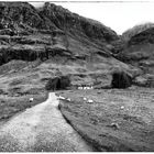 Glencoe III