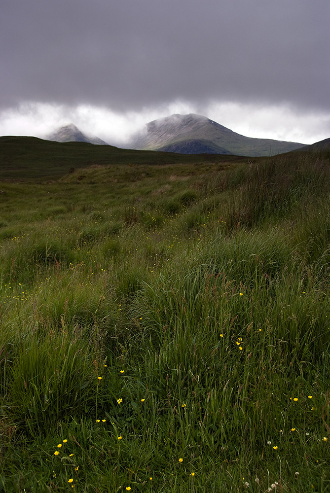 +++ Glencoe - Sunburst +++