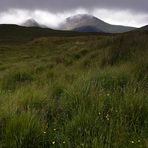 +++ Glencoe - Sunburst +++