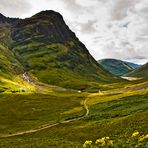 glencoe#3