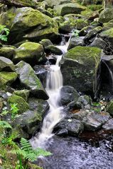 Glencree Waterfall