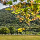 Glendalough 1