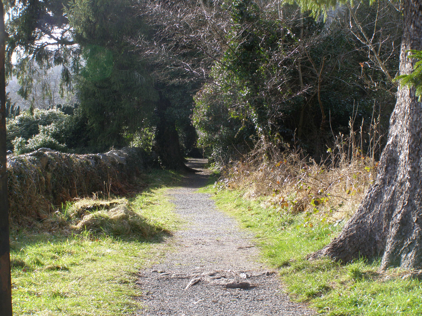 Glendalough