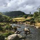 Glendalough 