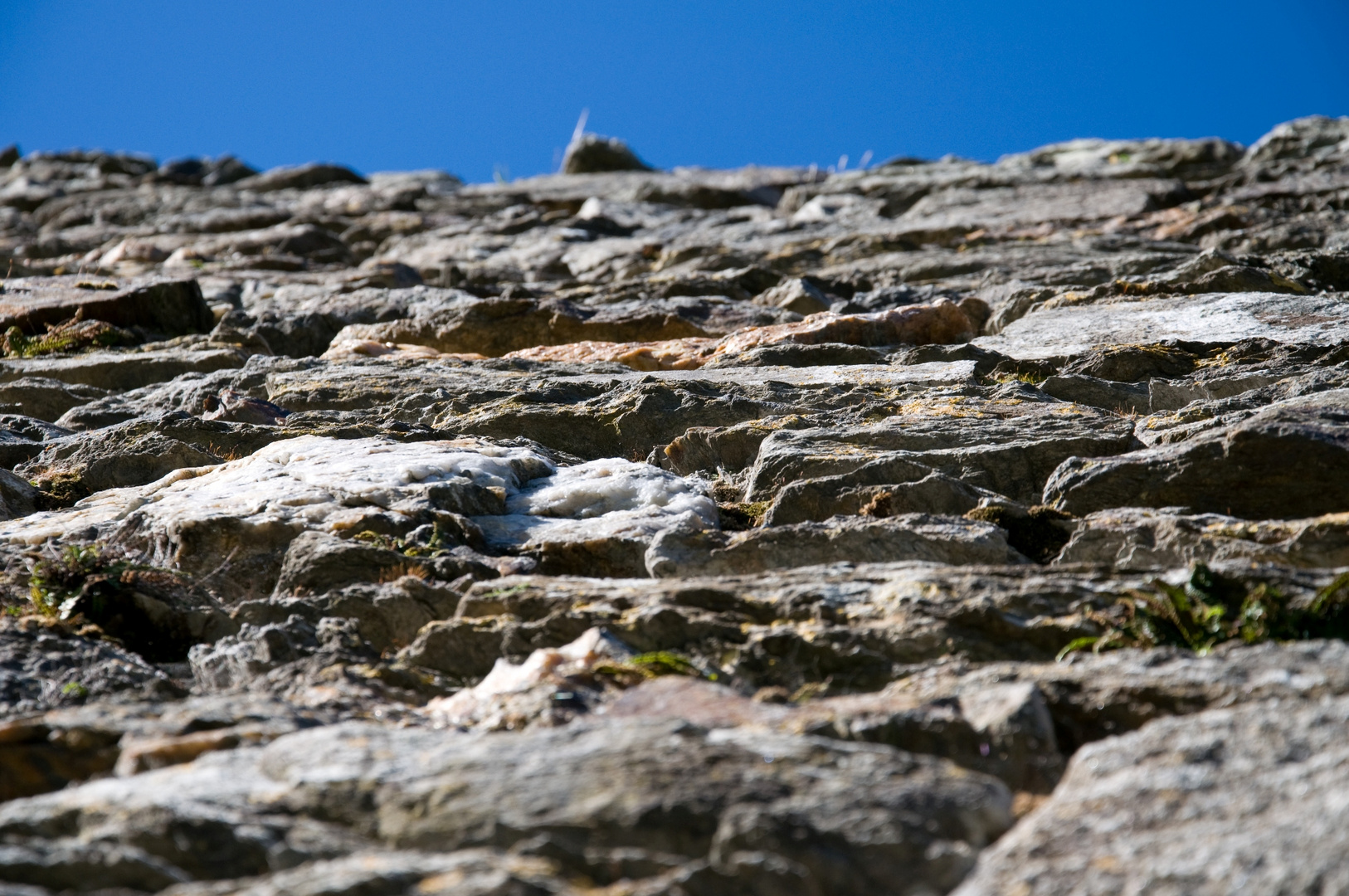 Glendalough Cathedral Wall