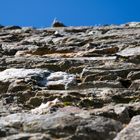 Glendalough Cathedral Wall