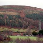 Glendalough, Co. Wicklow, Ireland