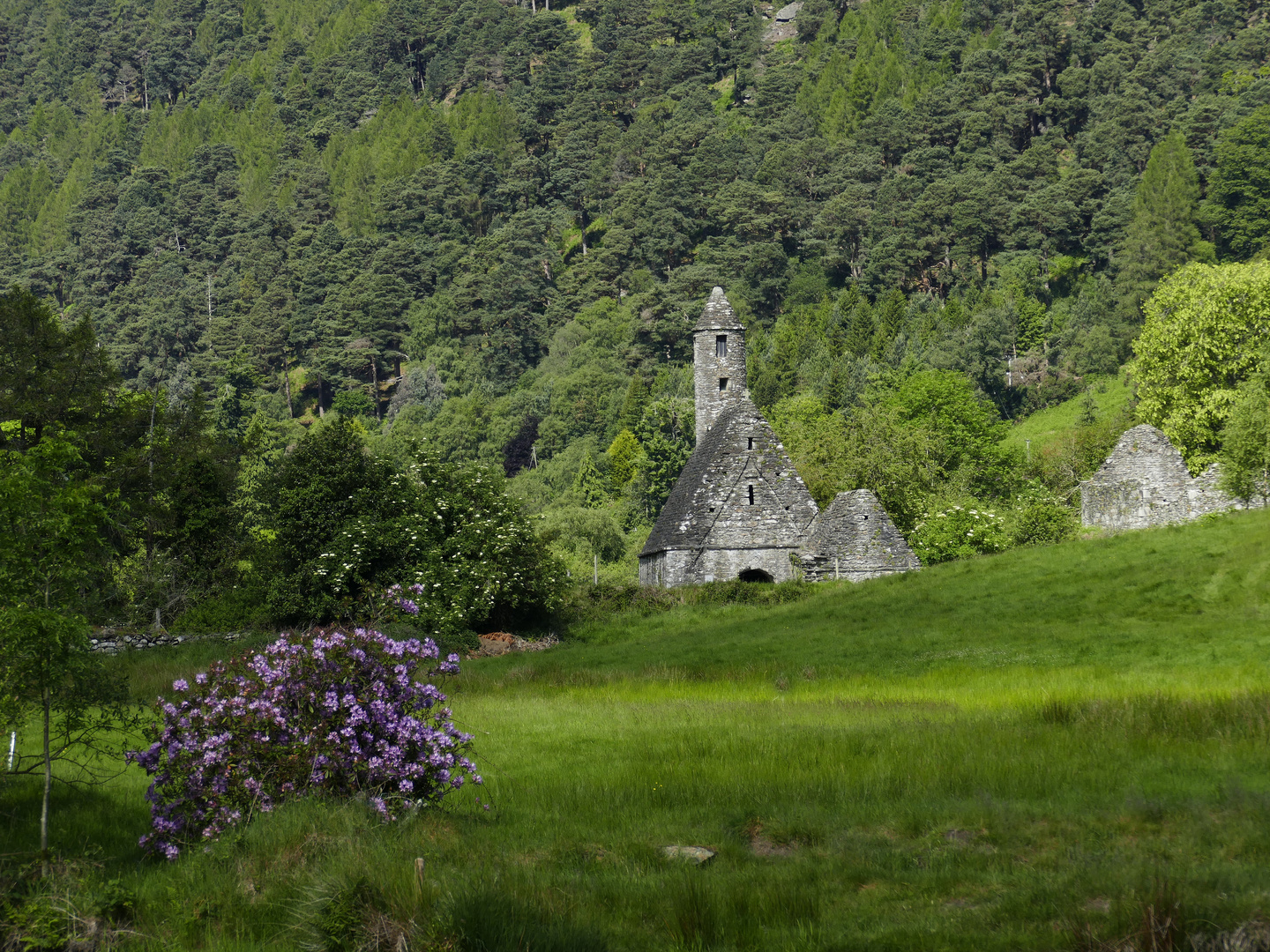 Glendalough Ecclestic Site