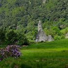 Glendalough Ecclestic Site