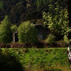 Glendalough