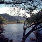 Glendalough