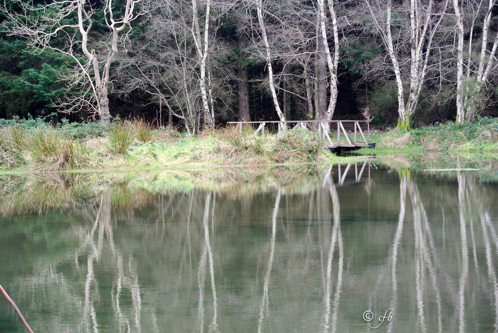 Glendalough House Lake