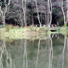 Glendalough House Lake