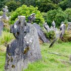 ... Glendalough III ...