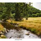 Glendalough III