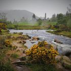 Glendalough - Landschaft im Regen