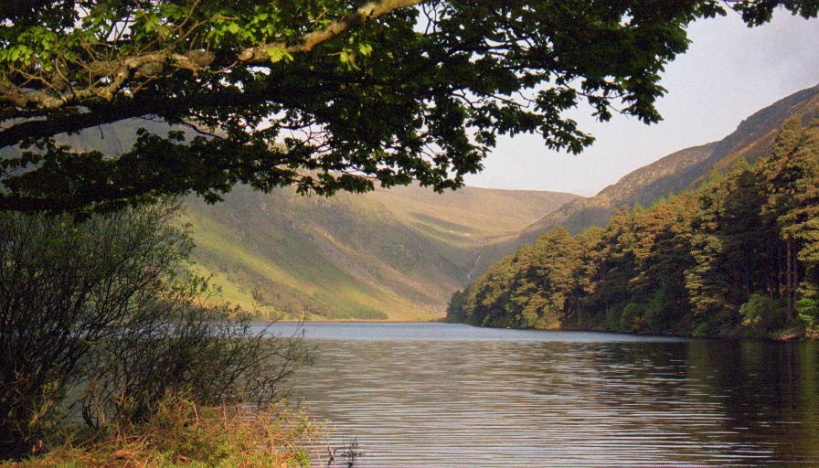 Glendalough - Morgenlicht II