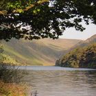 Glendalough - Morgenlicht II