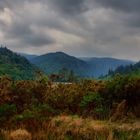 Glendalough See