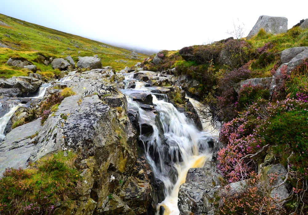 Glendalough Valley