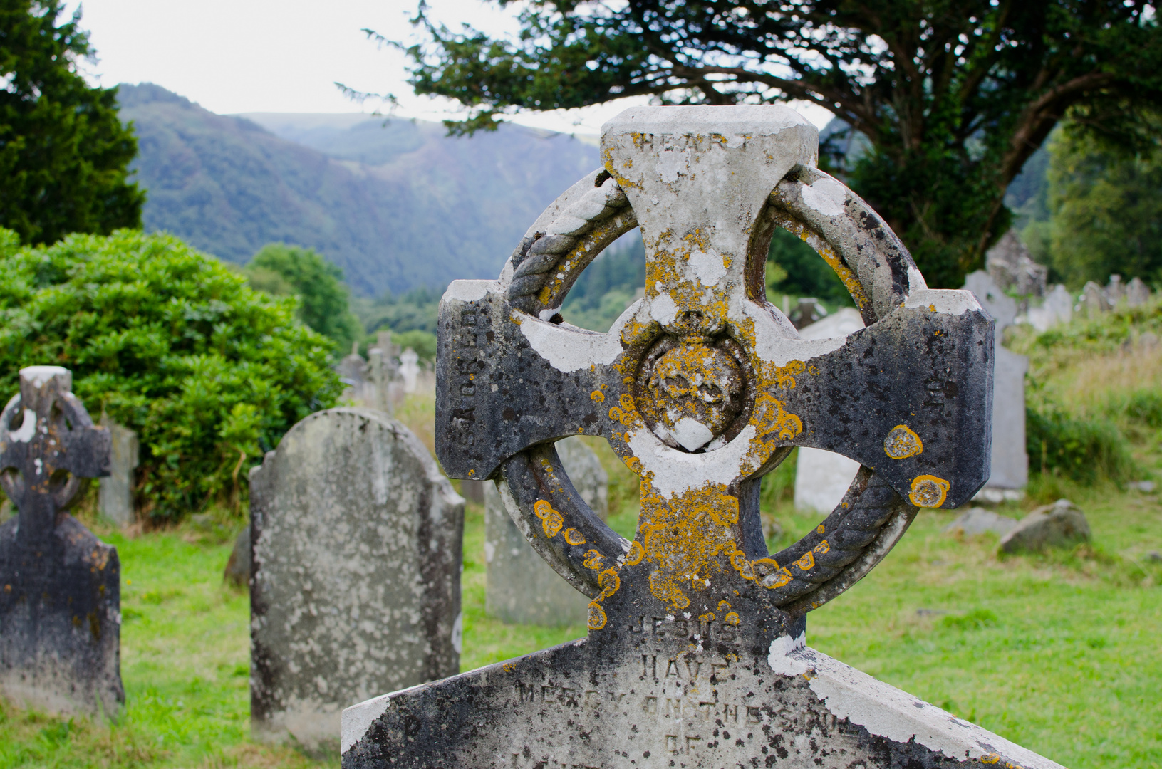 ... Glendalough  VIIa ...