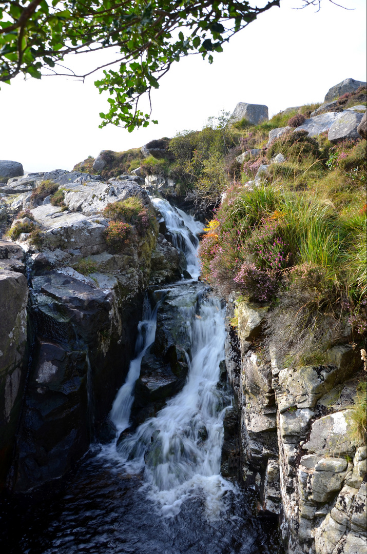 Glendalough - White Trail