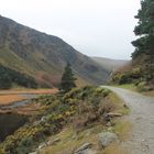 Glendalough (Wicklow mountains)