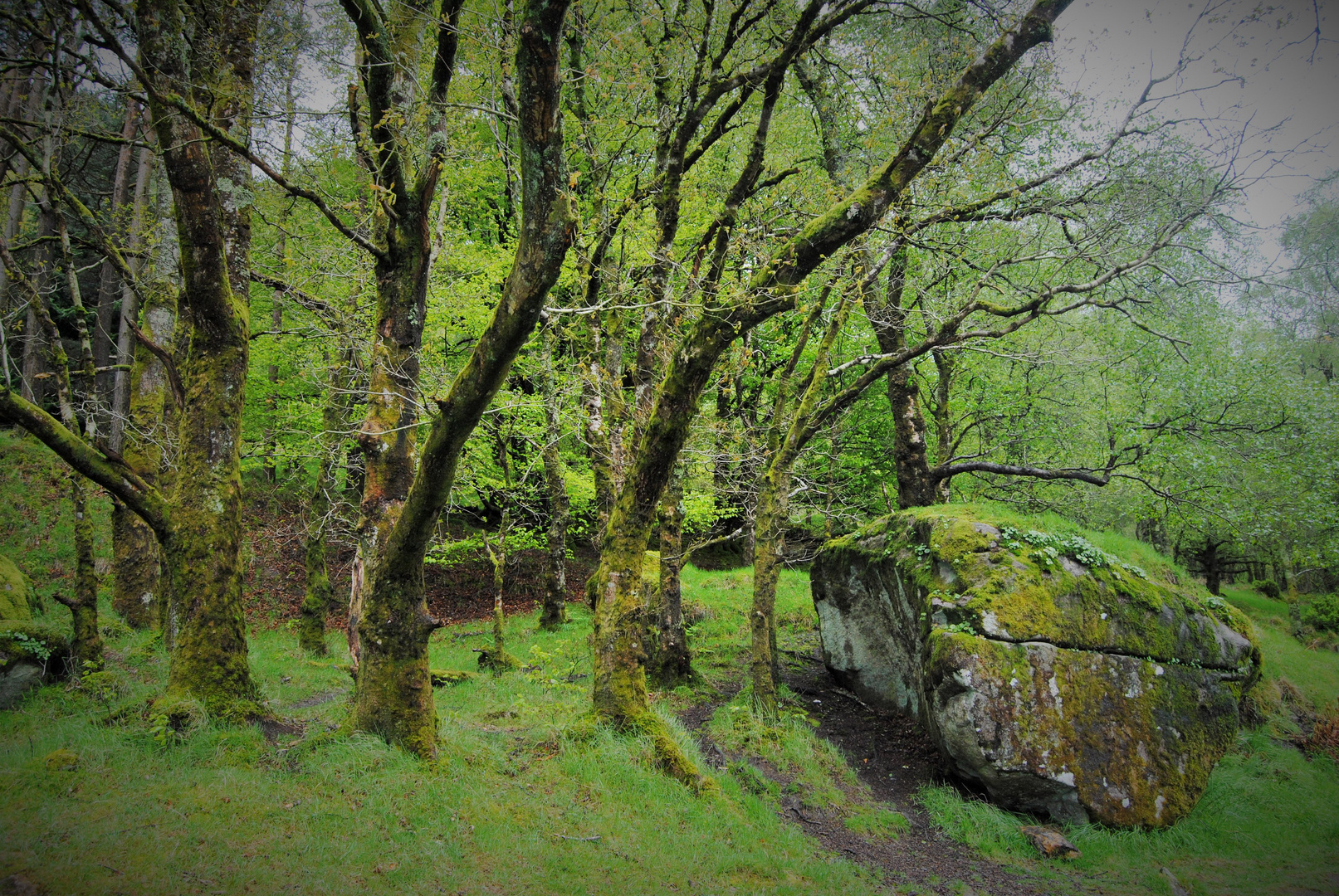 Glendalough - Wilde Landschaft