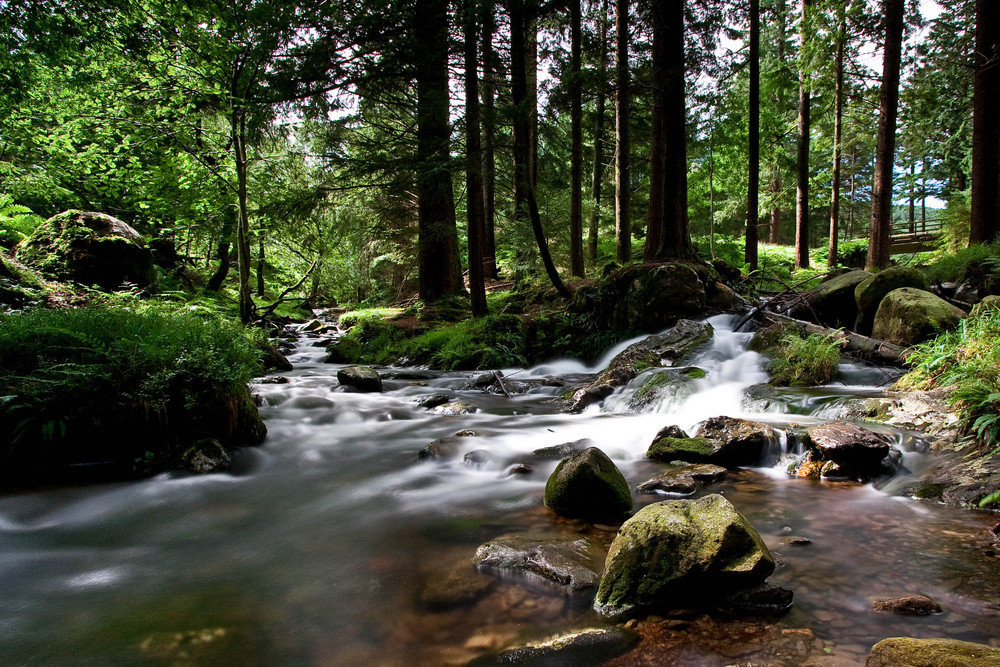 Glendalough with midges