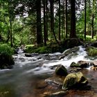 Glendalough with midges