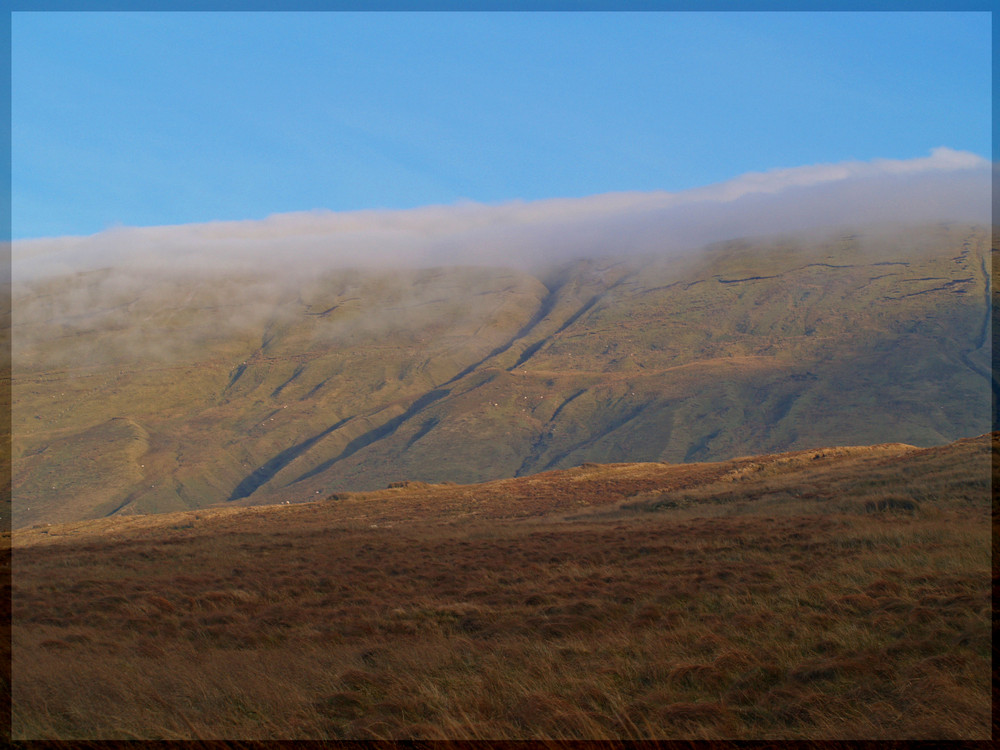 Glendiff Horseshoe