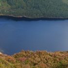 Glendolough 3