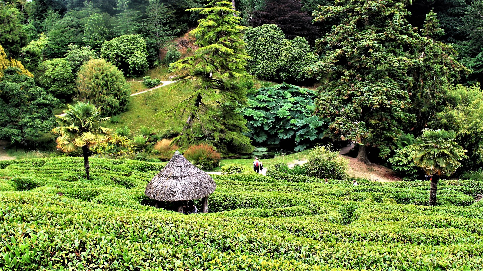 Glendurgan Garden - Grüntöne