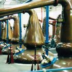 Glenfiddich Distillery Stills