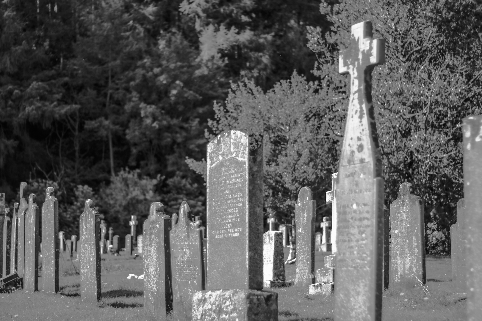 Glenfinnan - alter Friedhof 3