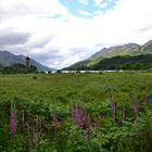 Glenfinnan Monument