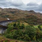 ~~ Glenfinnan Viaduct ~~