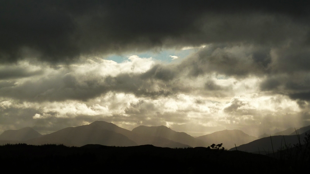 Glengarry Forest