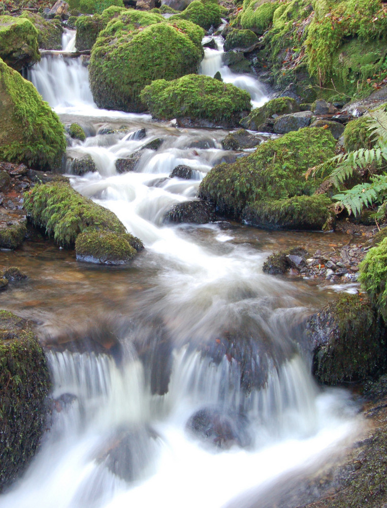 Glenifer Braes