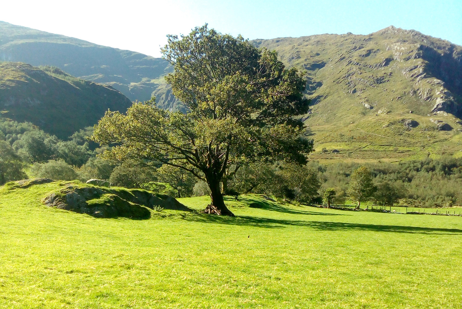 Gleninchaquin Park, Co. Kerry, Irland