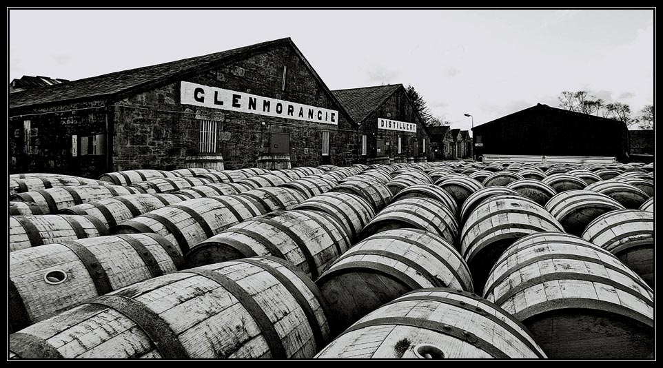 Glenmorangie Distillery (Scotland encore)