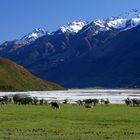 Glenorchy - Paradise