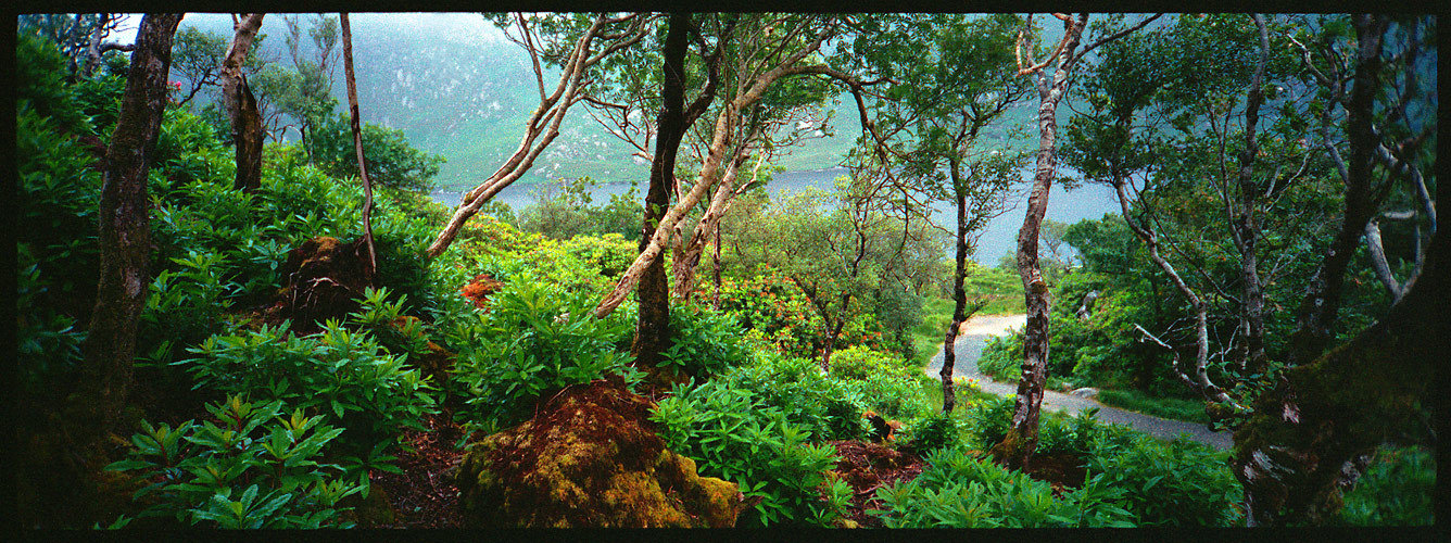 Glenveagh ...