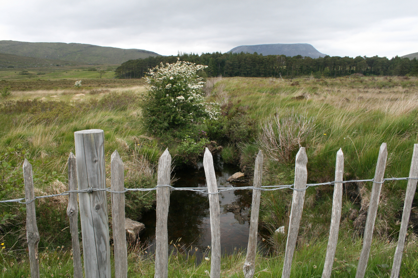 Glenveagh Nationalpark