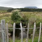 Glenveagh Nationalpark