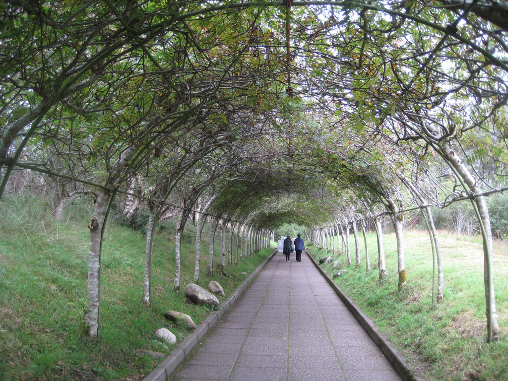 Glenveigh  National park