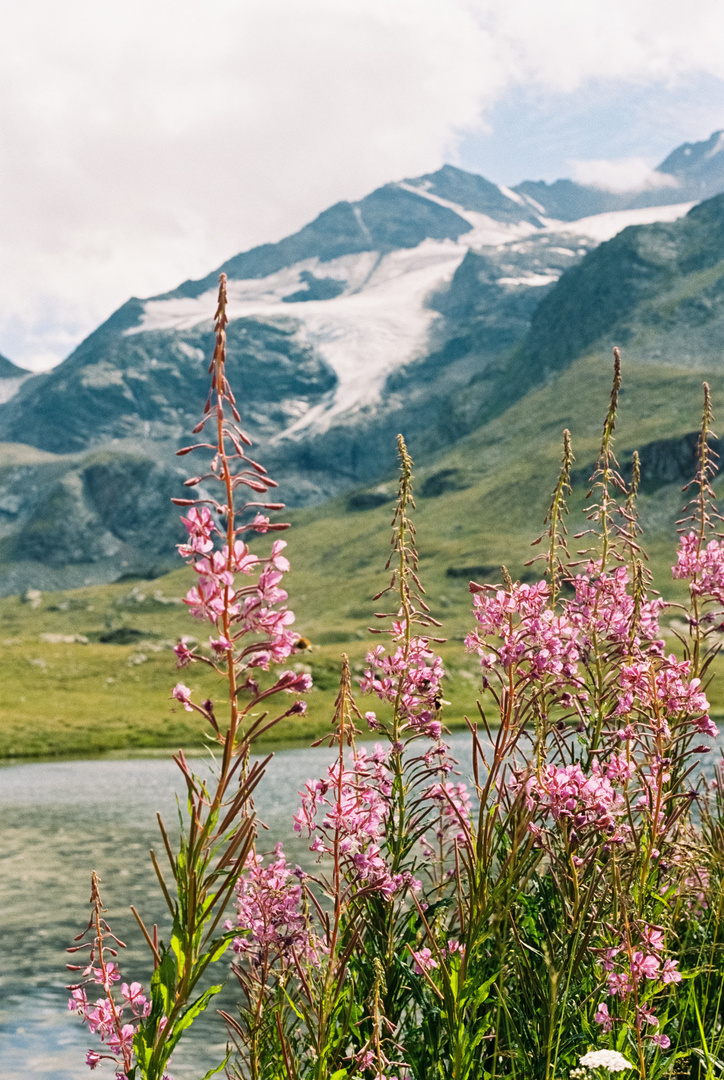 Gletscher