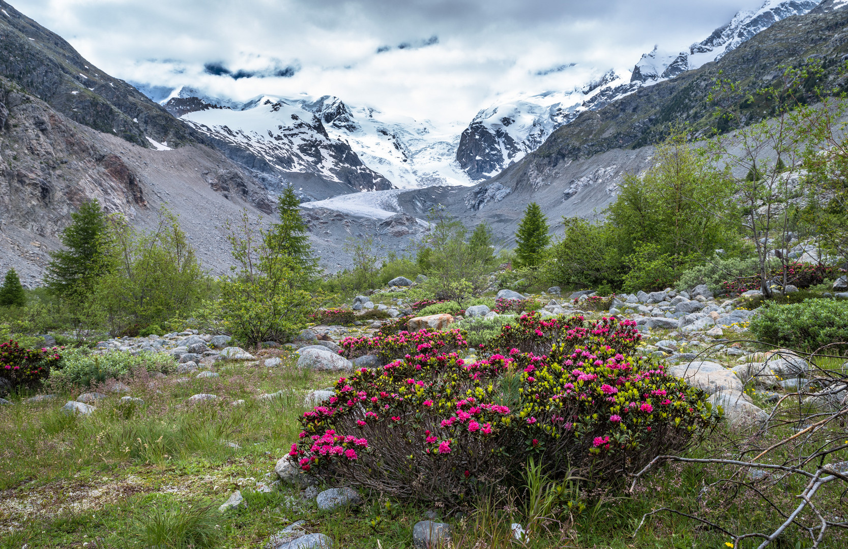 Gletscher auf dem Rückzug