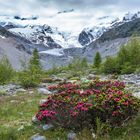 Gletscher auf dem Rückzug